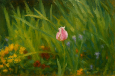 Single Pink Tulip in Tall Grass, Tokyo, Japan