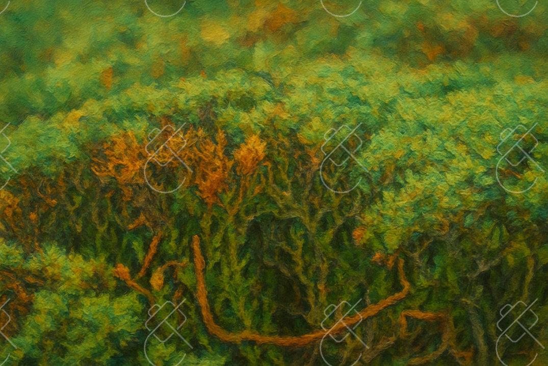 Green Shrubs with Autumn Tints, photographed in Tokyo, Japan