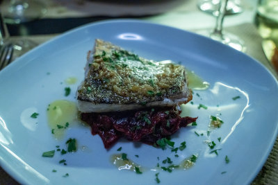 Plated fish over beetroot — Basque Country, Spain