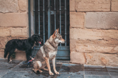 Logroño, Spain — fine art travel photography print available from Clever Tourists