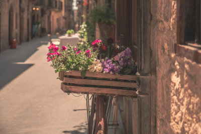 LaGuardia, Spain
