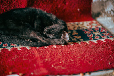 Tangier, Morocco — fine art travel photography print available from Clever Tourists