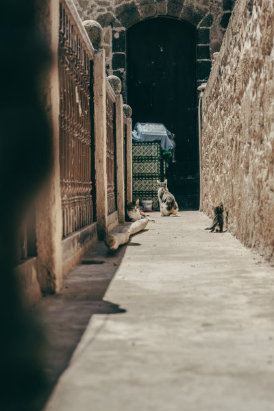Essaouira, Morocco — fine art travel photography print available from Clever Tourists
