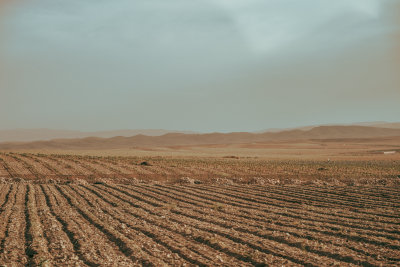 Marrakech, Morocco — fine art travel photography print available from Clever Tourists