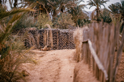 Zagora, Morocco — fine art travel photography print available from Clever Tourists