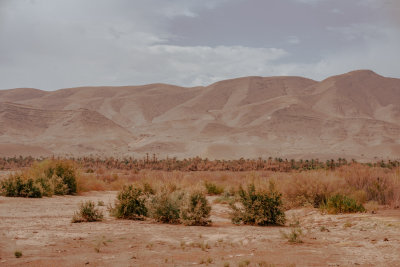 Zagora, Morocco — fine art travel photography print available from Clever Tourists
