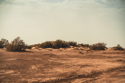 Erg Chigaga, Morocco — fine art travel photography print available from Clever Tourists