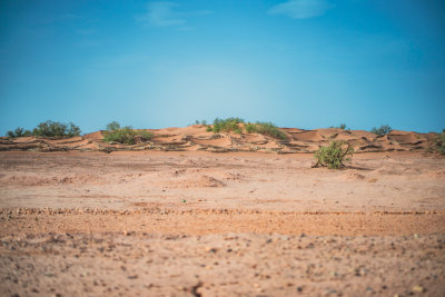 Erg Chigaga, Morocco — fine art travel photography print available from Clever Tourists
