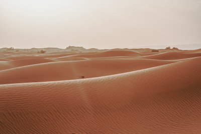 Erg Chigaga, Morocco — fine art travel photography print available from Clever Tourists