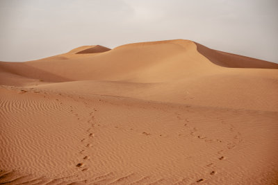 Erg Chigaga, Morocco — fine art travel photography print available from Clever Tourists