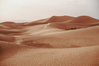 Erg Chigaga, Morocco — fine art travel photography print available from Clever Tourists