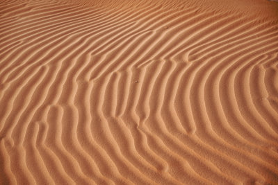Erg Chigaga, Morocco — fine art travel photography print available from Clever Tourists