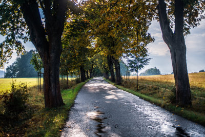 Hrensko, Czech Republic — fine art travel photography print available from Clever Tourists