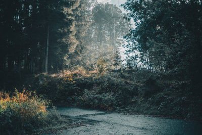 Hrensko, Czech Republic — fine art travel photography print available from Clever Tourists