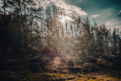 Hrensko, Czech Republic