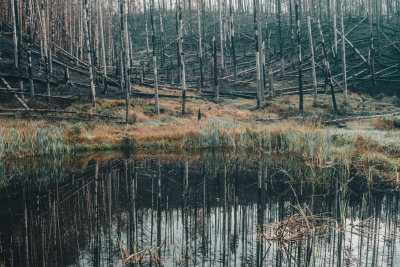 Hrensko, Czech Republic — fine art travel photography print available from Clever Tourists