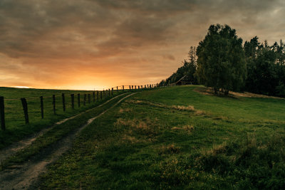 Pasture Track at Sunset, Hrensko, Czech Republic