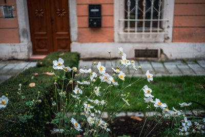 Pilsen, Czech Republic — fine art travel photography print available from Clever Tourists