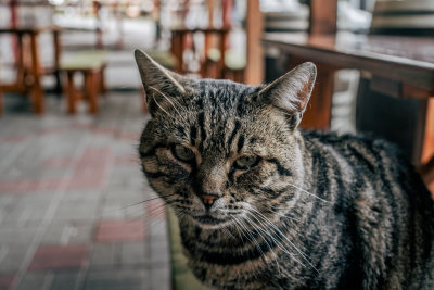 Eger, Hungary — fine art travel photography print available from Clever Tourists
