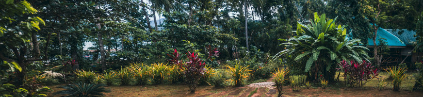 Sabang, Philippines — fine art travel photography print available from Clever Tourists