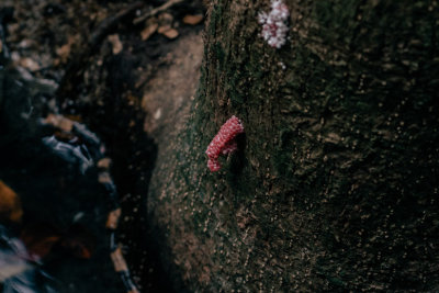 El Nido, Philippines — fine art travel photography print available from Clever Tourists