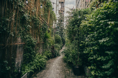 Bangkok, Thailand — fine art travel photography print available from Clever Tourists