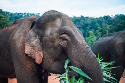 Chiang Mai, Thailand