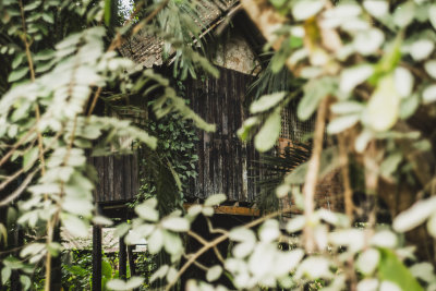 Khao Sok, Thailand — fine art travel photography print available from Clever Tourists