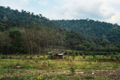 Khao Sok, Thailand — fine art travel photography print available from Clever Tourists