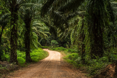 Khao Sok, Thailand — fine art travel photography print available from Clever Tourists