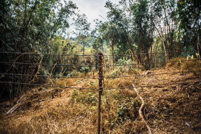Khao Sok, Thailand — fine art travel photography print available from Clever Tourists