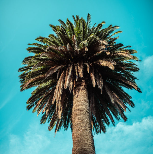 Melbourne, Australia — fine art travel photography print available from Clever Tourists