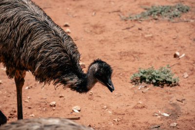 Alice Springs, Australia — fine art travel photography print available from Clever Tourists
