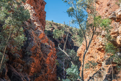 Alice Springs, Australia — fine art travel photography print available from Clever Tourists