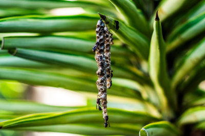 Magnetic Island, Australia — fine art travel photography print available from Clever Tourists
