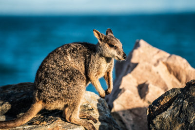 Magnetic Island, Australia — fine art travel photography print available from Clever Tourists
