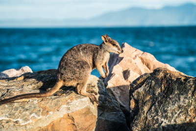 Magnetic Island, Australia — fine art travel photography print available from Clever Tourists