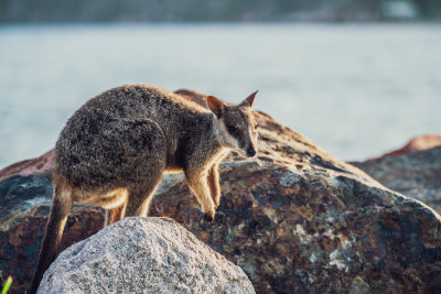 Magnetic Island, Australia — fine art travel photography print available from Clever Tourists