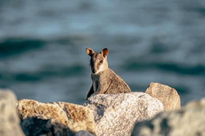 Magnetic Island, Australia — fine art travel photography print available from Clever Tourists