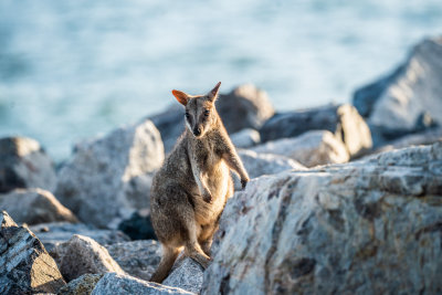 Magnetic Island, Australia — fine art travel photography print available from Clever Tourists