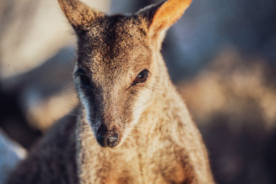Magnetic Island, Australia — fine art travel photography print available from Clever Tourists