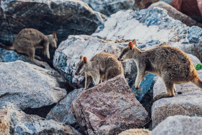 Magnetic Island, Australia — fine art travel photography print available from Clever Tourists