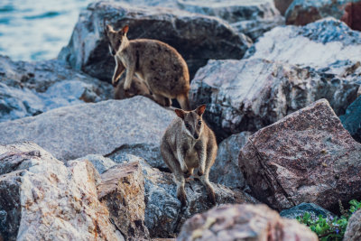 Magnetic Island, Australia — fine art travel photography print available from Clever Tourists