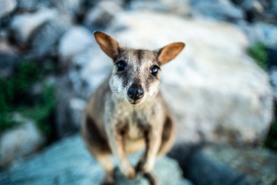 Magnetic Island, Australia — fine art travel photography print available from Clever Tourists