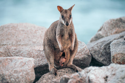 Magnetic Island, Australia — fine art travel photography print available from Clever Tourists
