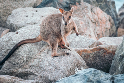 Magnetic Island, Australia — fine art travel photography print available from Clever Tourists