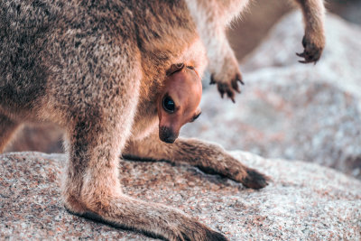 Magnetic Island, Australia — fine art travel photography print available from Clever Tourists