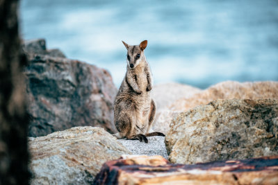 Magnetic Island, Australia — fine art travel photography print available from Clever Tourists