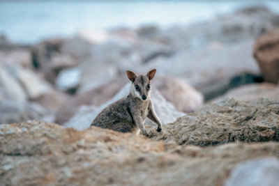 Magnetic Island, Australia — fine art travel photography print available from Clever Tourists