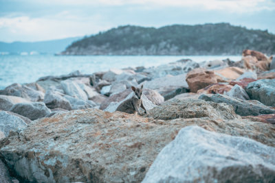 Magnetic Island, Australia — fine art travel photography print available from Clever Tourists